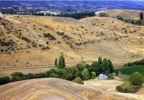 Studio in the grape vines, Cromwell